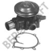 RENAULT 5010450735 Water Pump